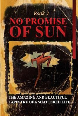 No Promise of Sun, Book 1: The Amazing and Beautiful Tapestry of a Shattered Life - Catherine Steveley - cover