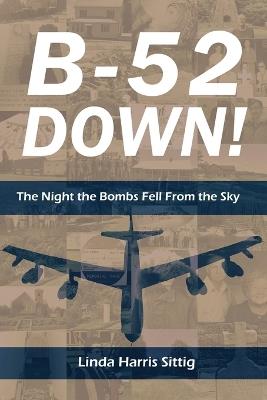 B-52 Down: The Night the Bombs Fell From the Sky - Linda H Sittig - cover