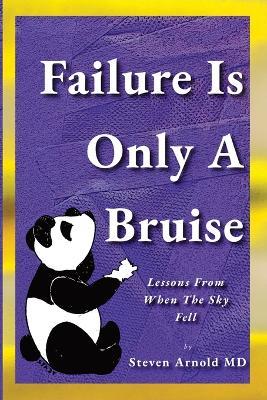 Failure Is Only A Bruise: Lessons From When The Sky Fell - Steven Arnold - cover