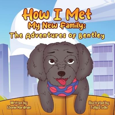 How I Met My New Family: The Adventures of Bentley - Hardman - cover